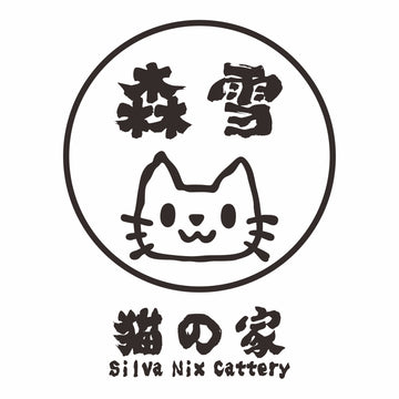 Buy a British Shorthair Cat or Kitten in Australia